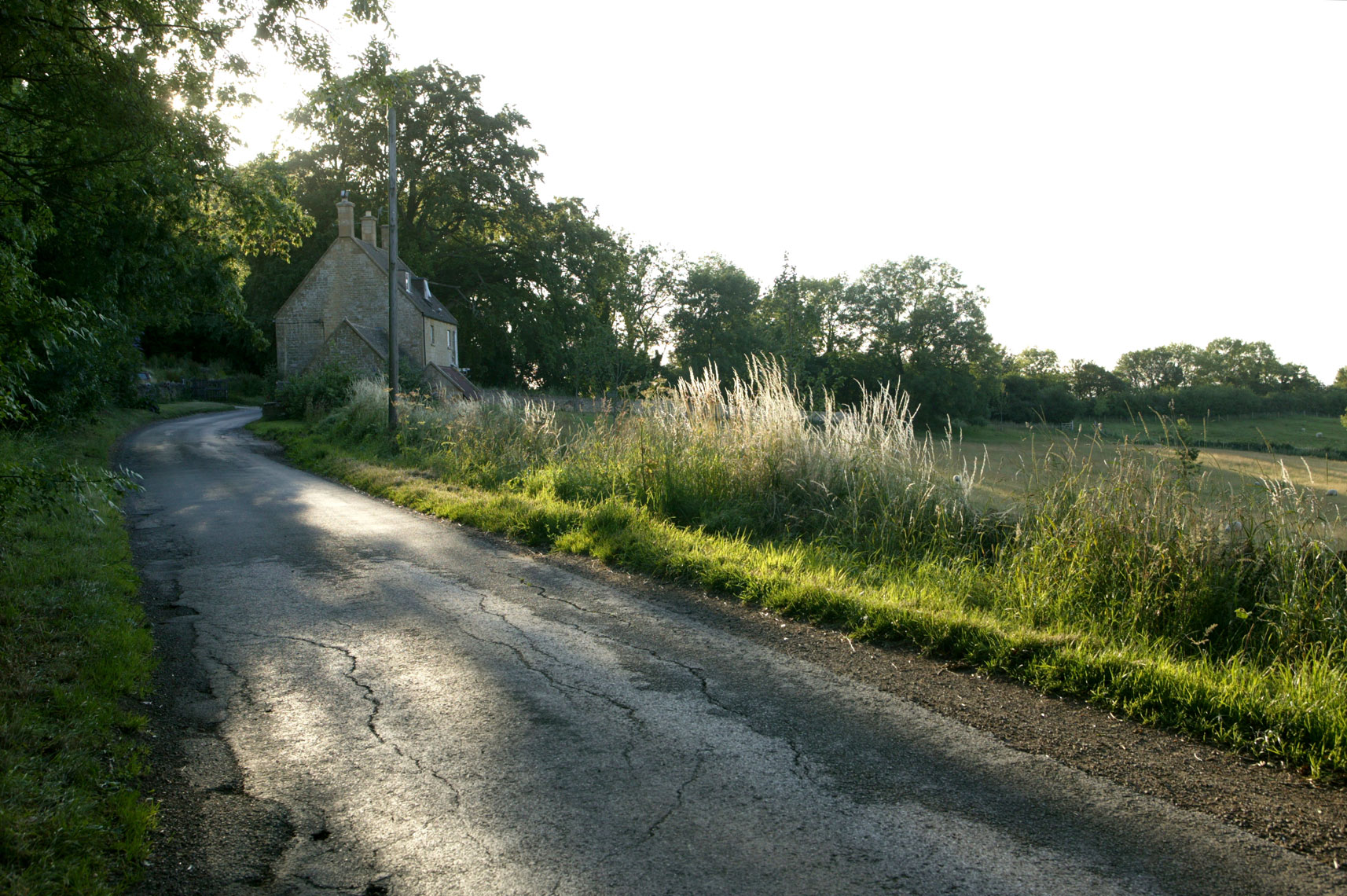 C07S2842_1574