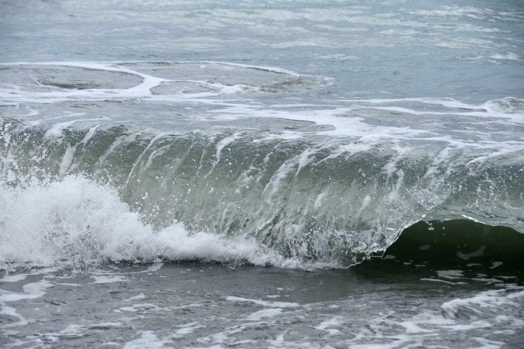 DSC_1105_00001