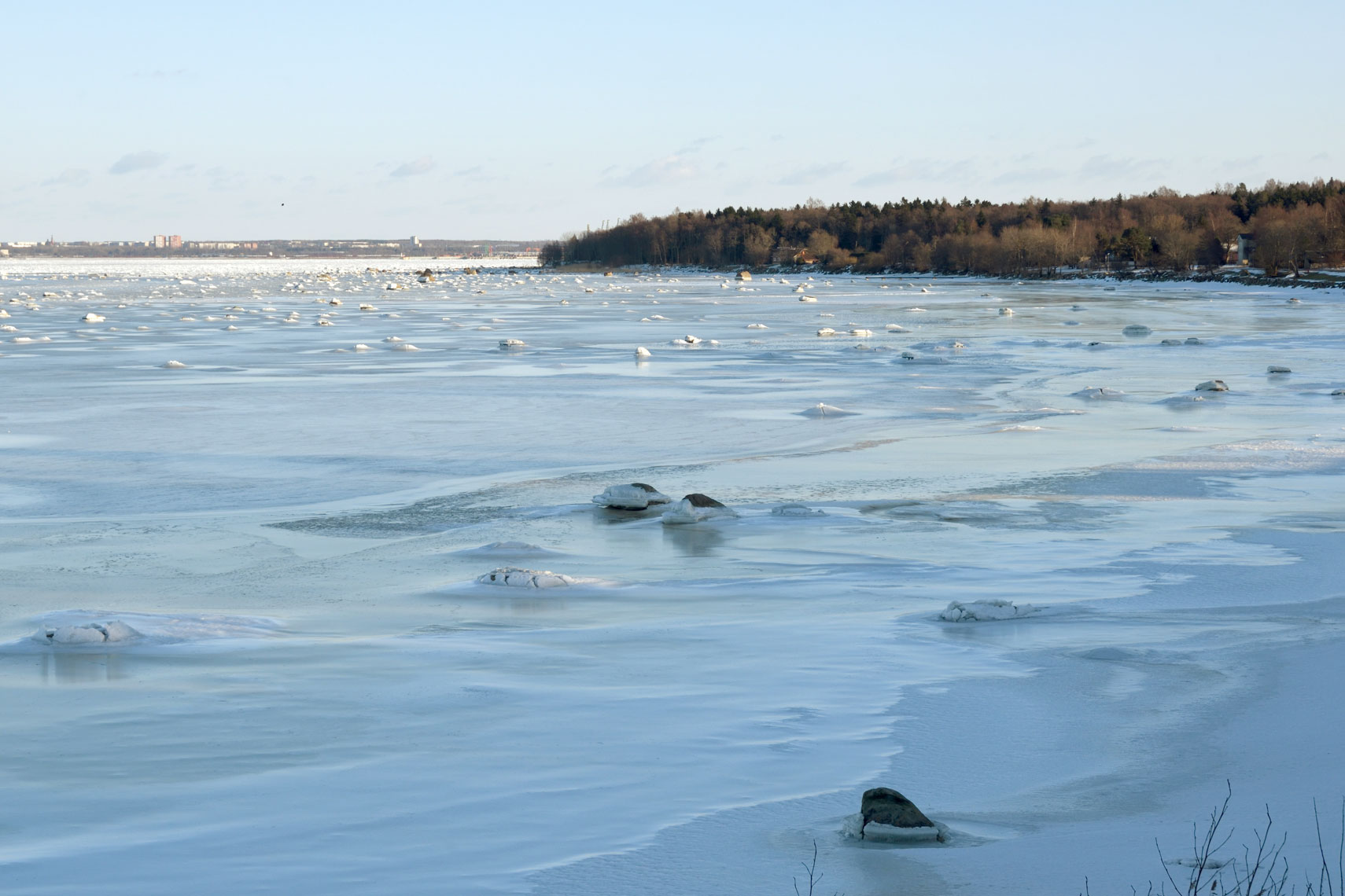DSC_1350_00001
