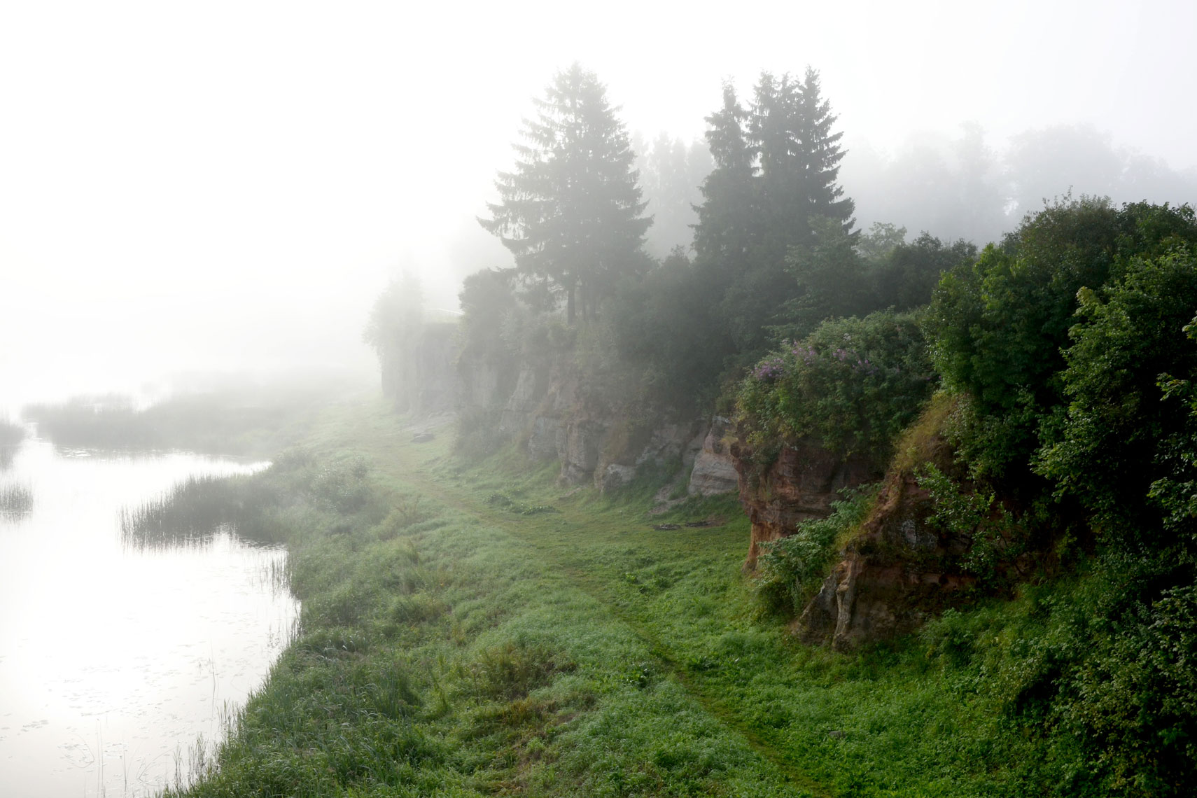 DSC_1370_400