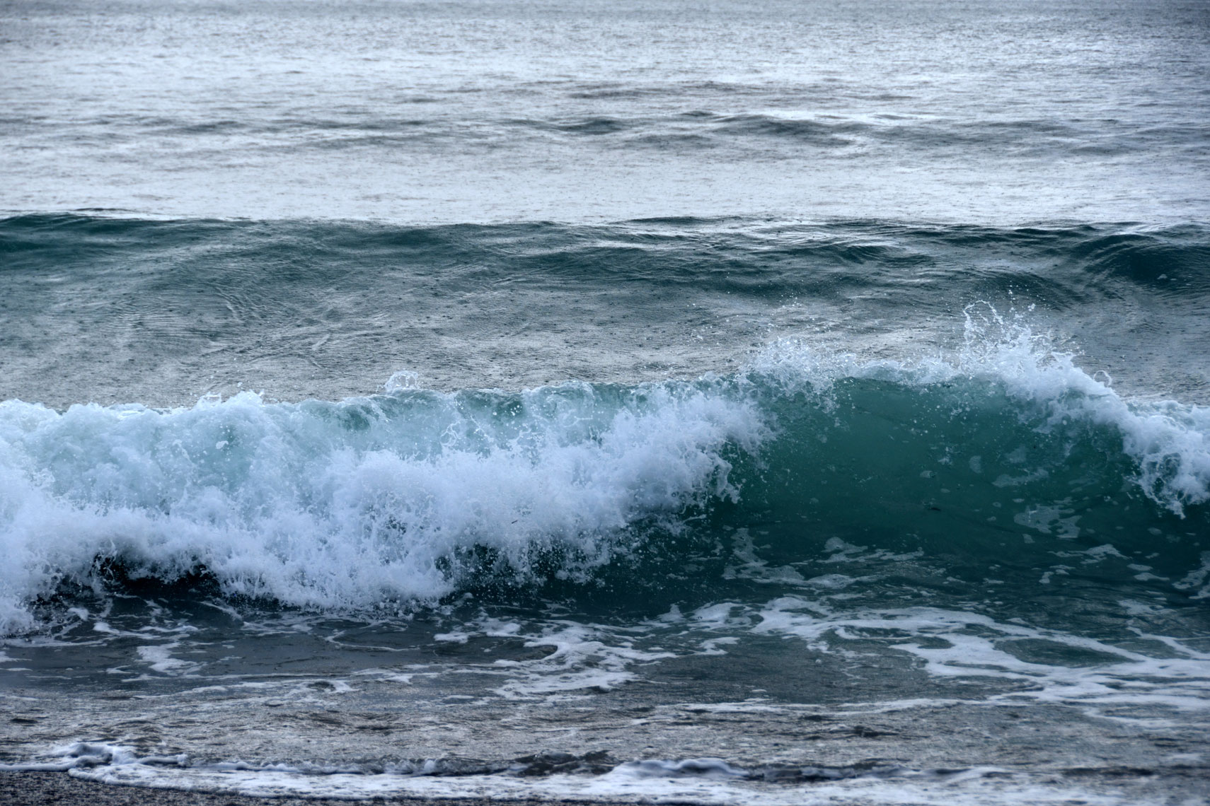 DSC_1486_00001
