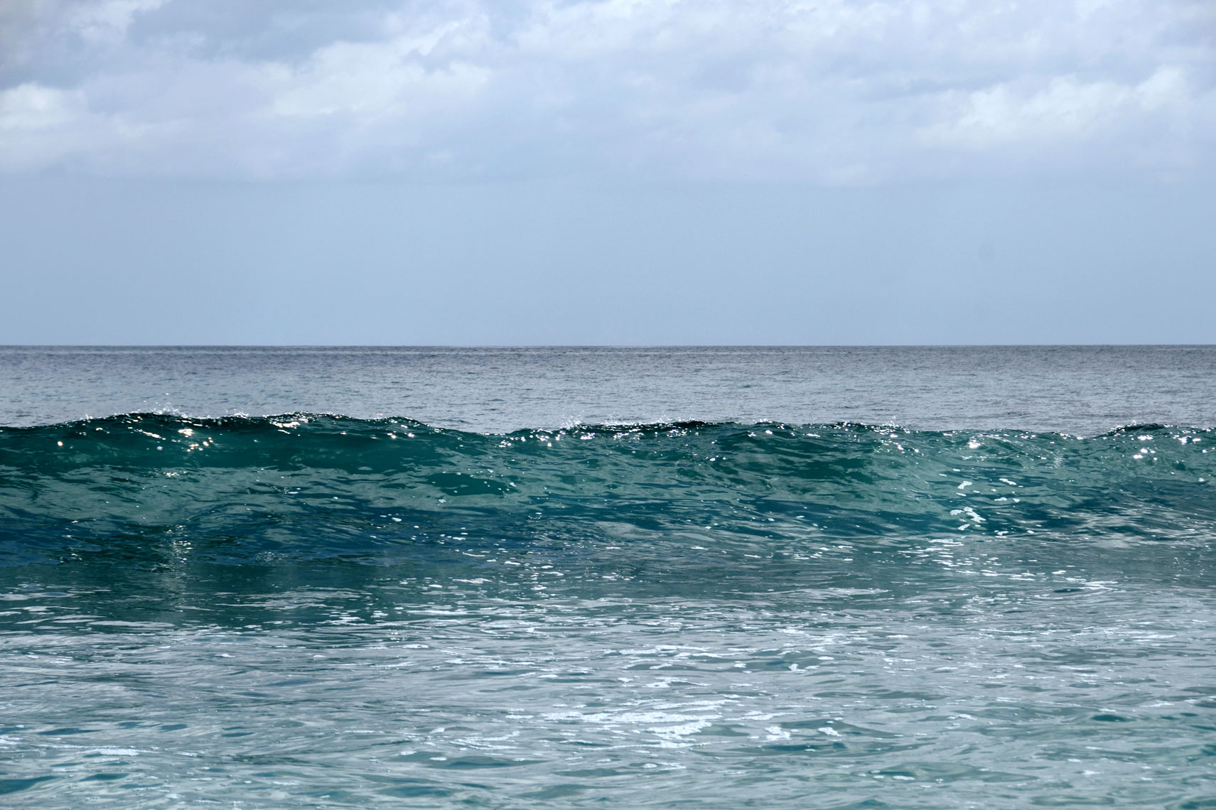 DSC_1560_00001_01