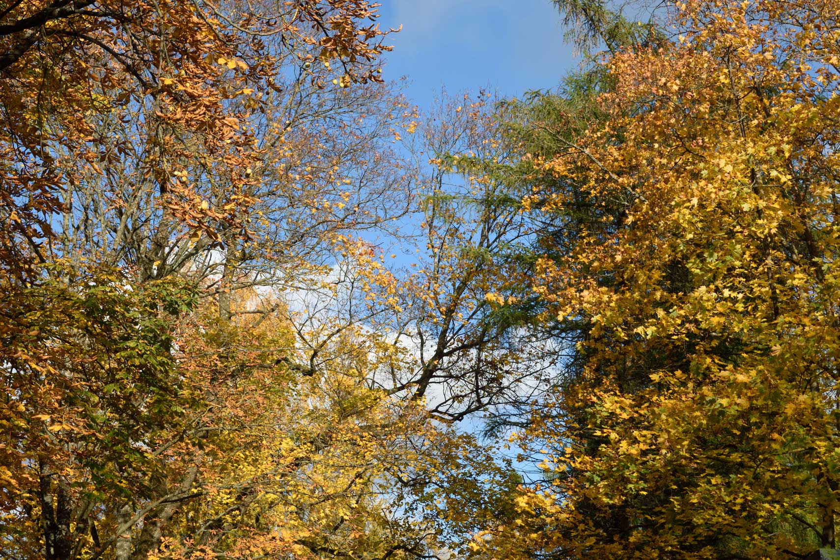 DSC_1699_9134