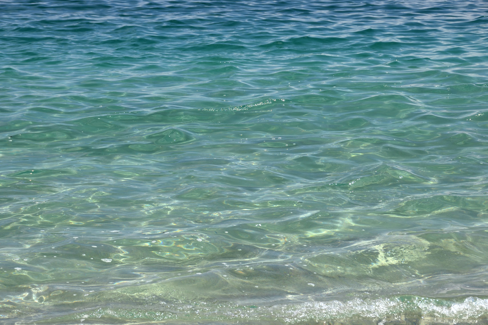DSC_2856_00001