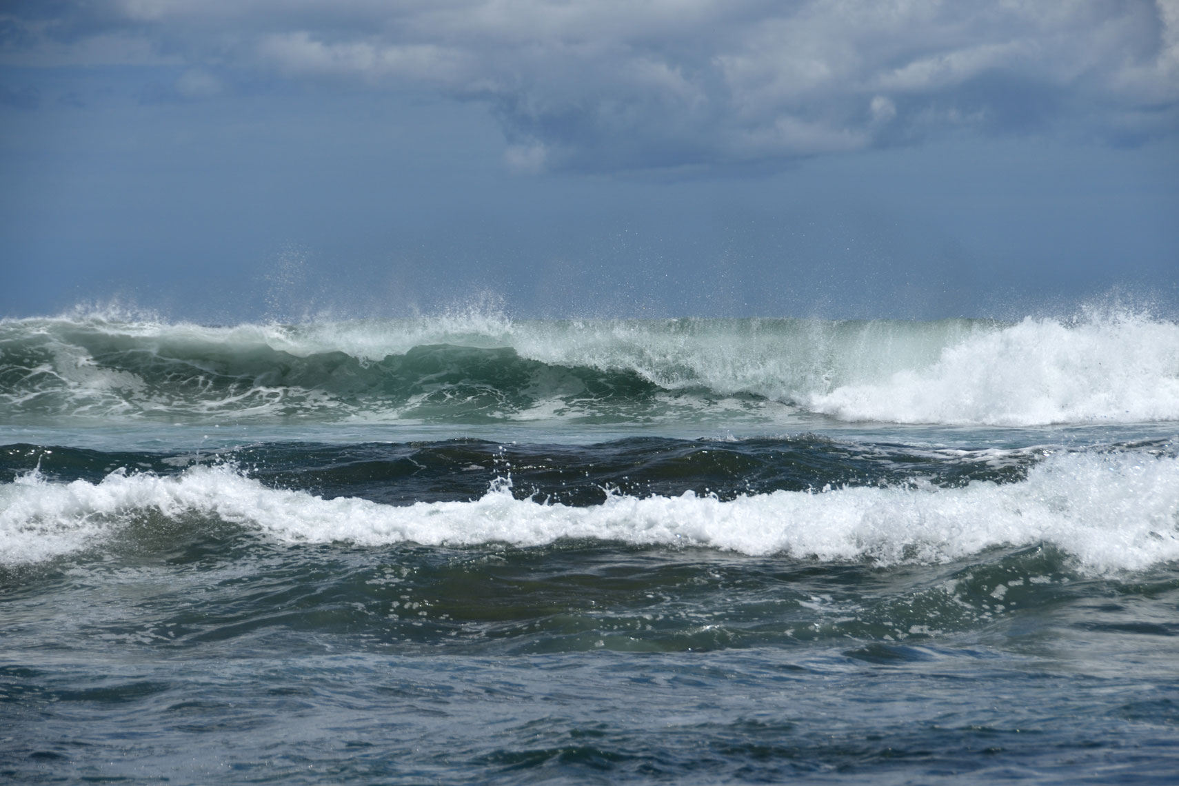 DSC_4841_00001