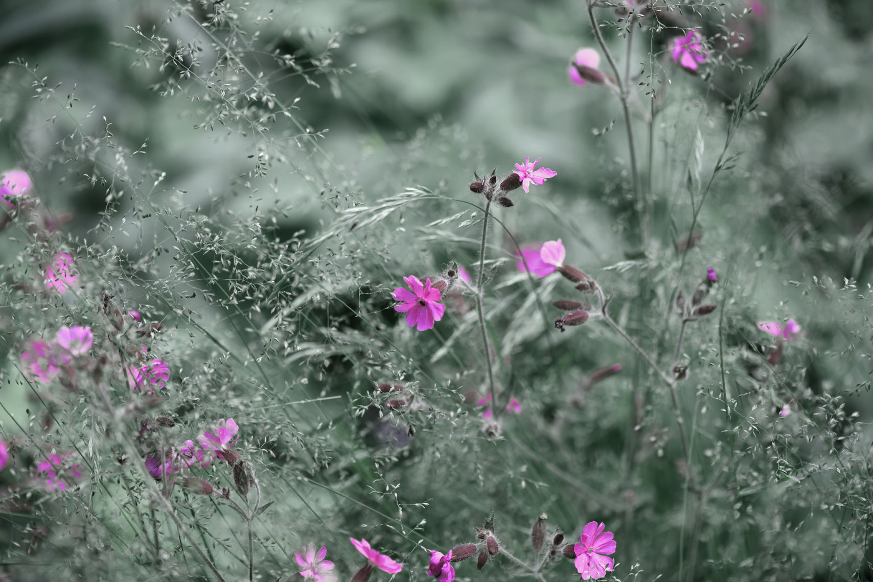 DSC_6473_6065-2