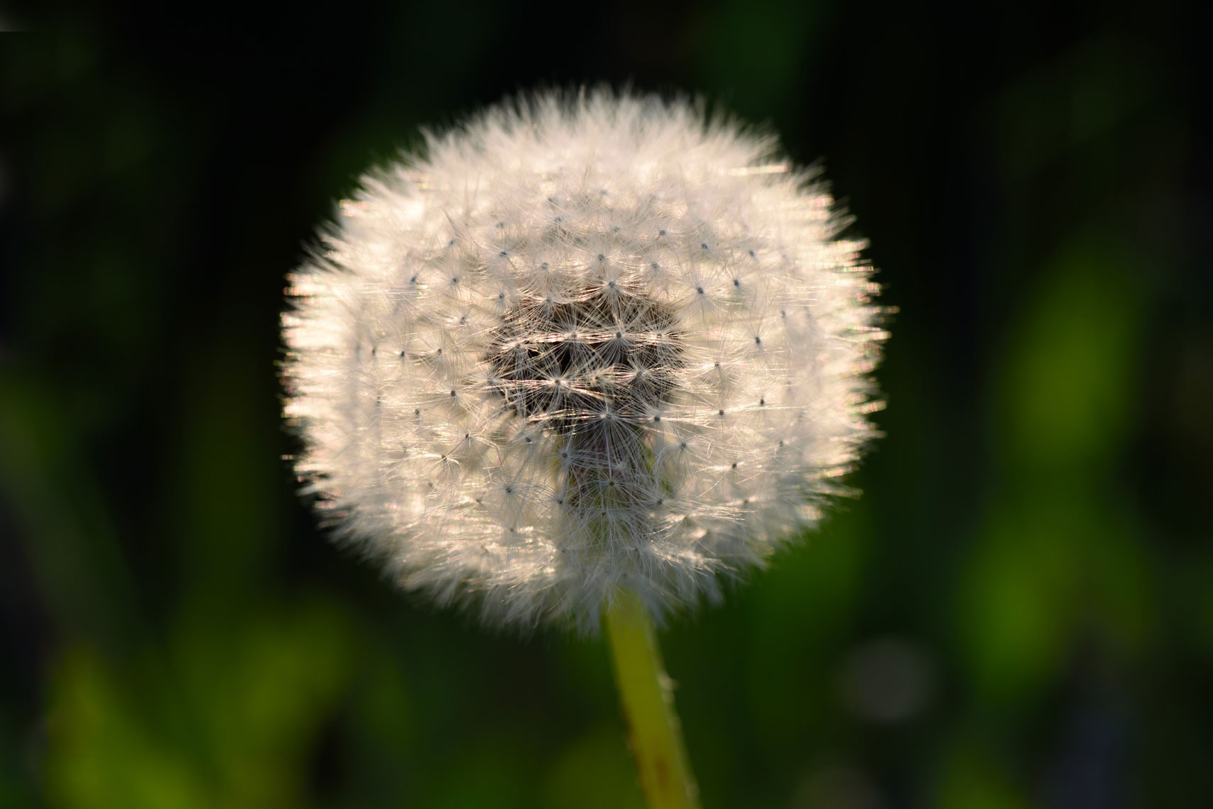 DSC_7788_4087