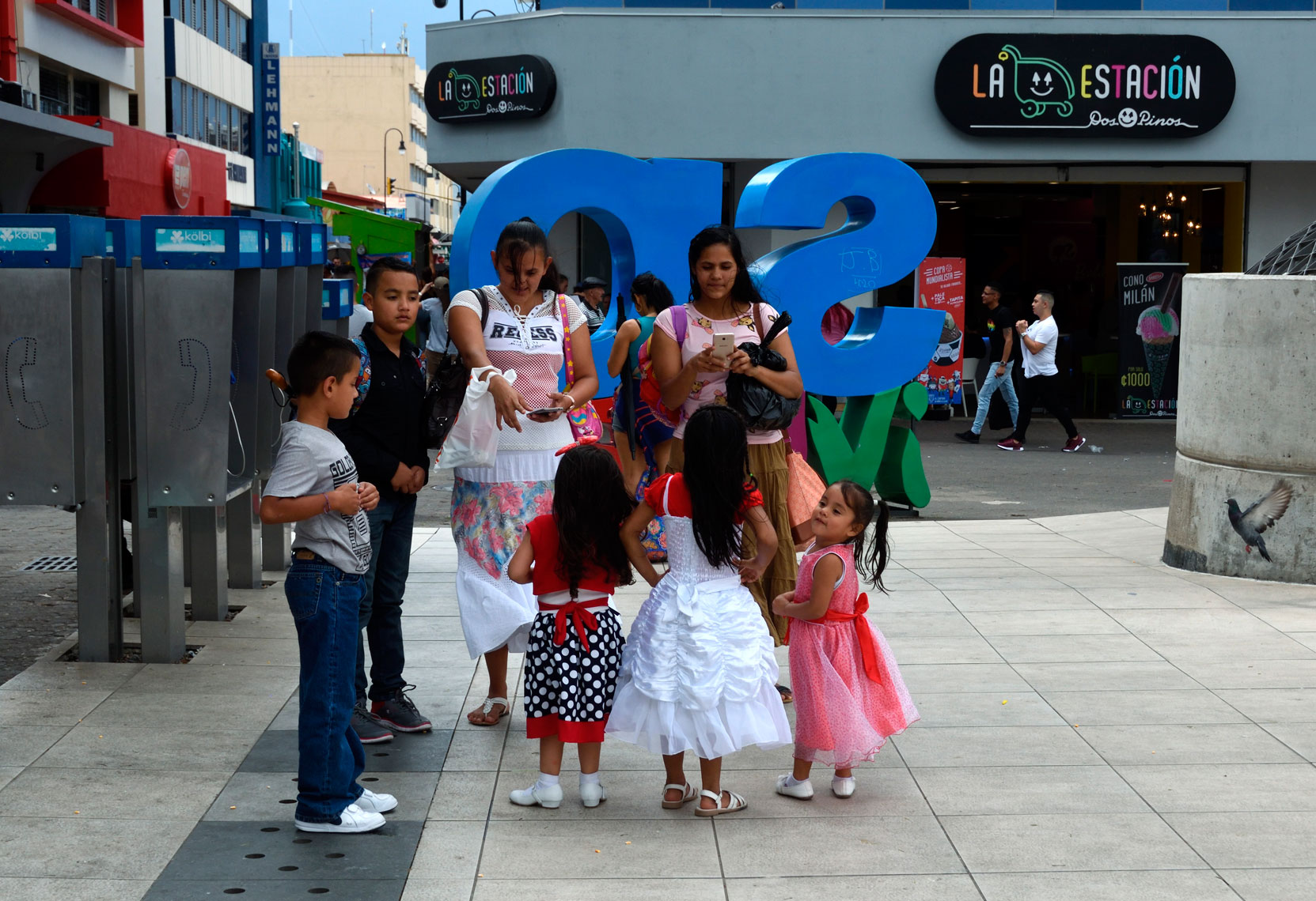 DSC_8008_00001