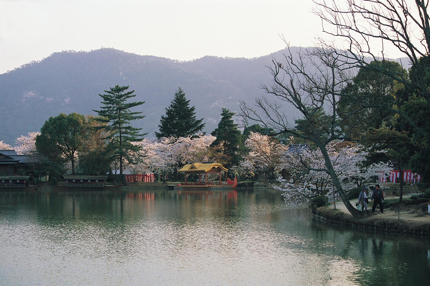 Daikakuji-daik3