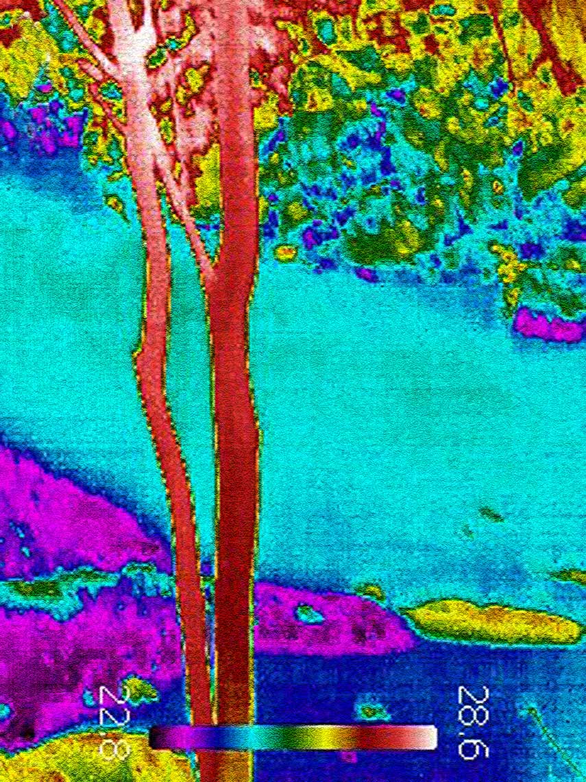 IR_0816-h30-cr