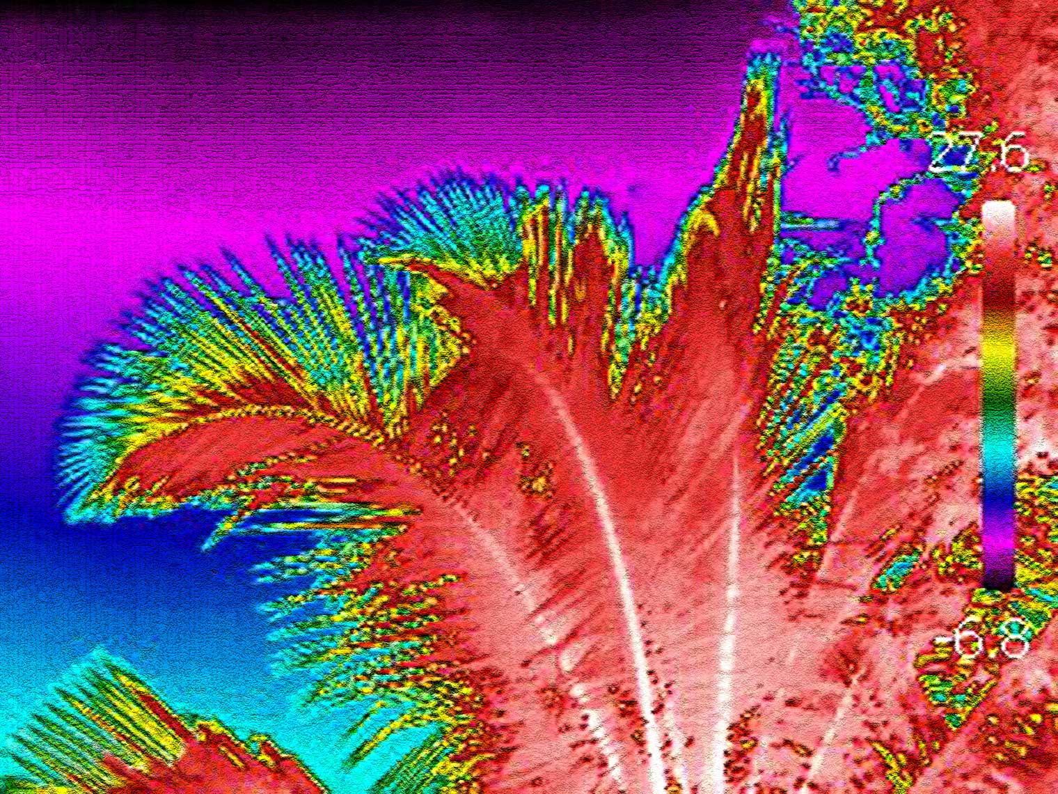 IR_0900-w30-cr