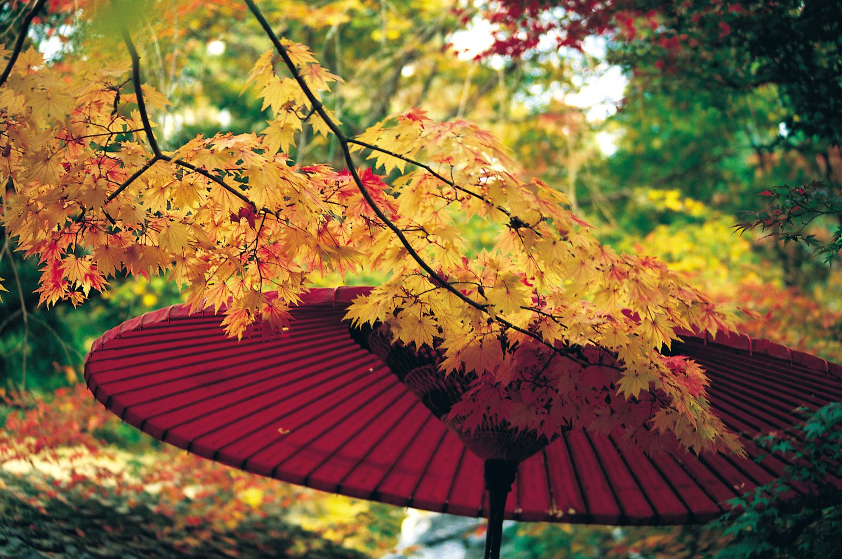 Sanzen-in-02