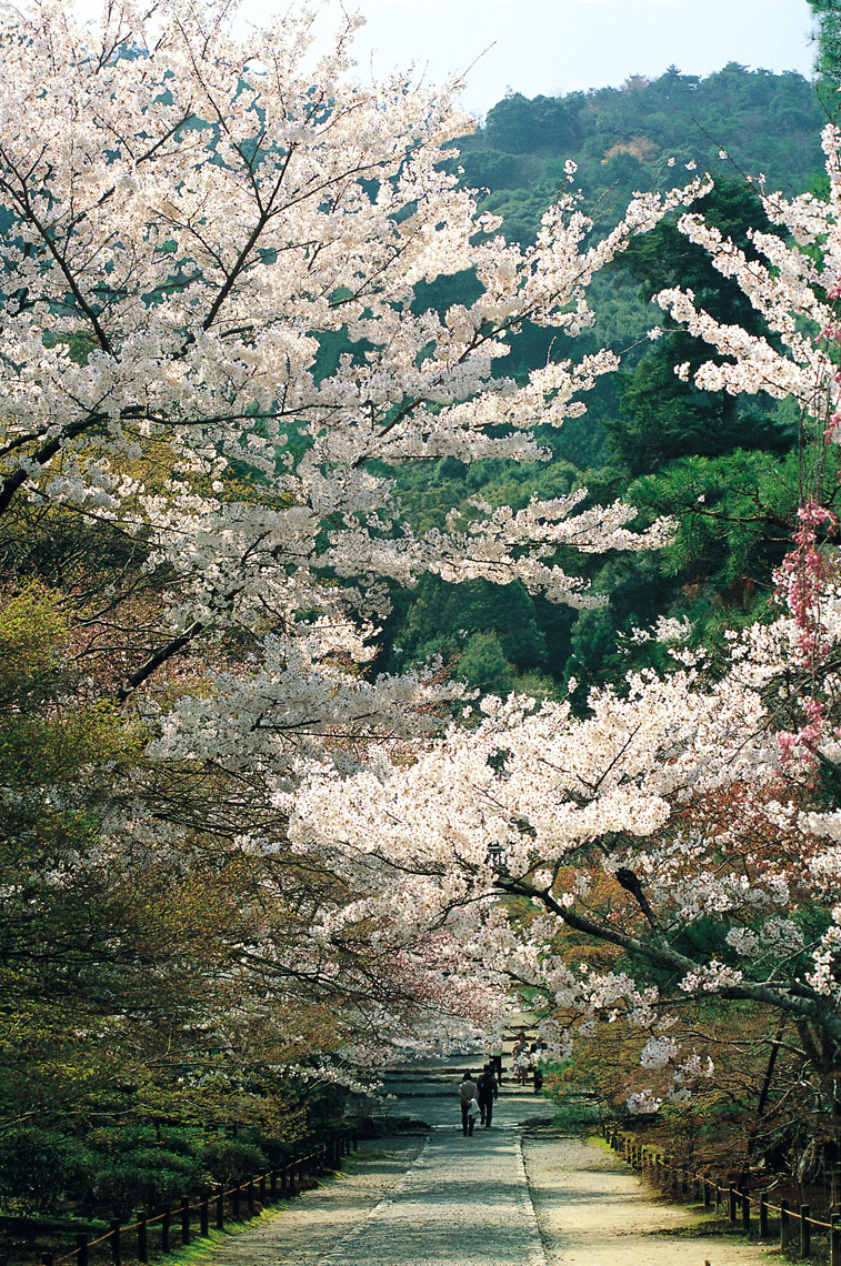 Tenryuji-006