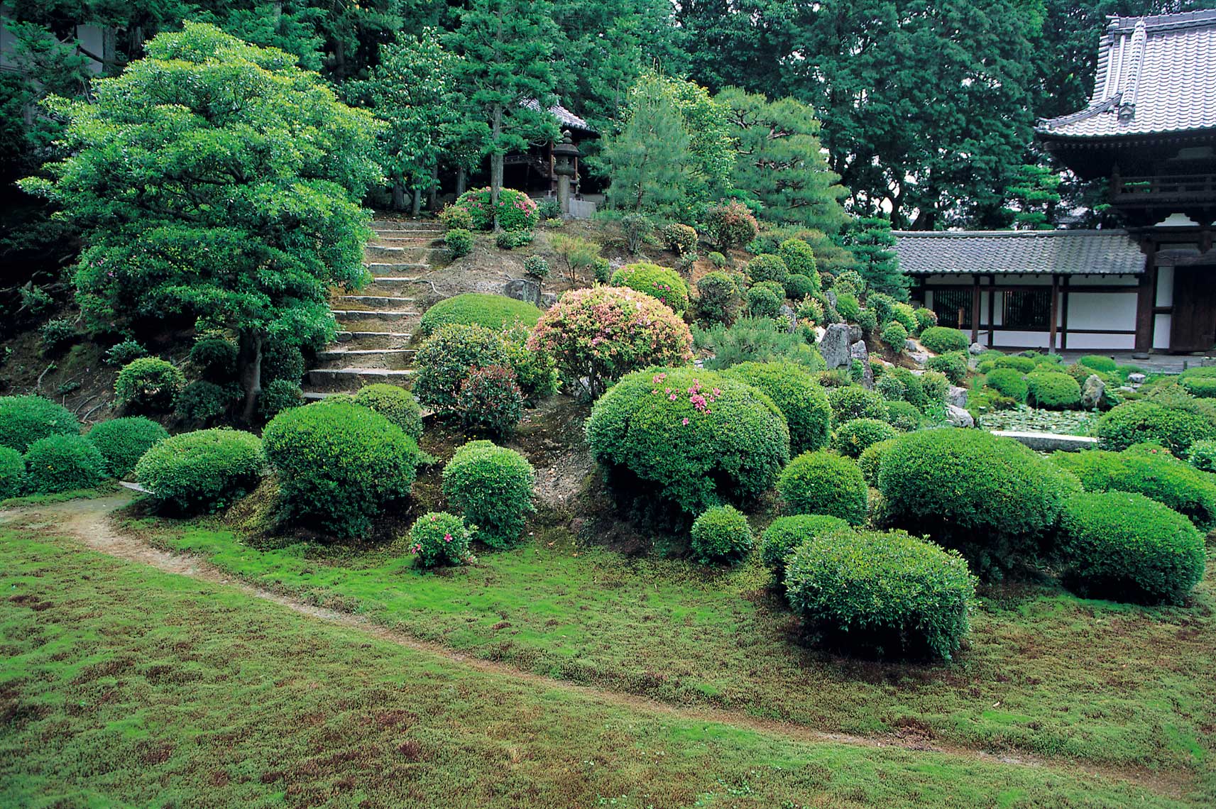 Tofukuji--05